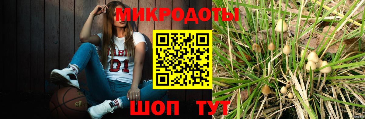 Сальск  Псилоцибиновые грибы Cubensis  Вход с VPN 